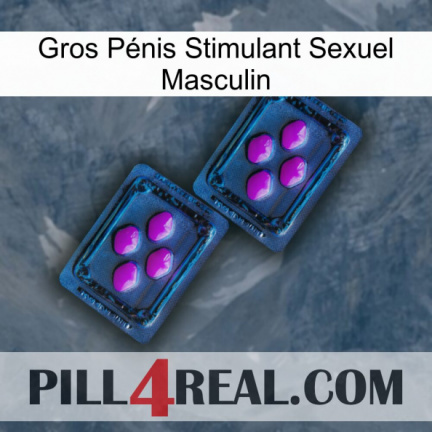 Gros Pénis Stimulant Sexuel Masculin 03